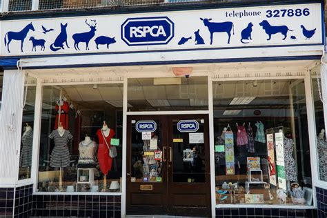 rspca shop near me|rspca charity shops near me.